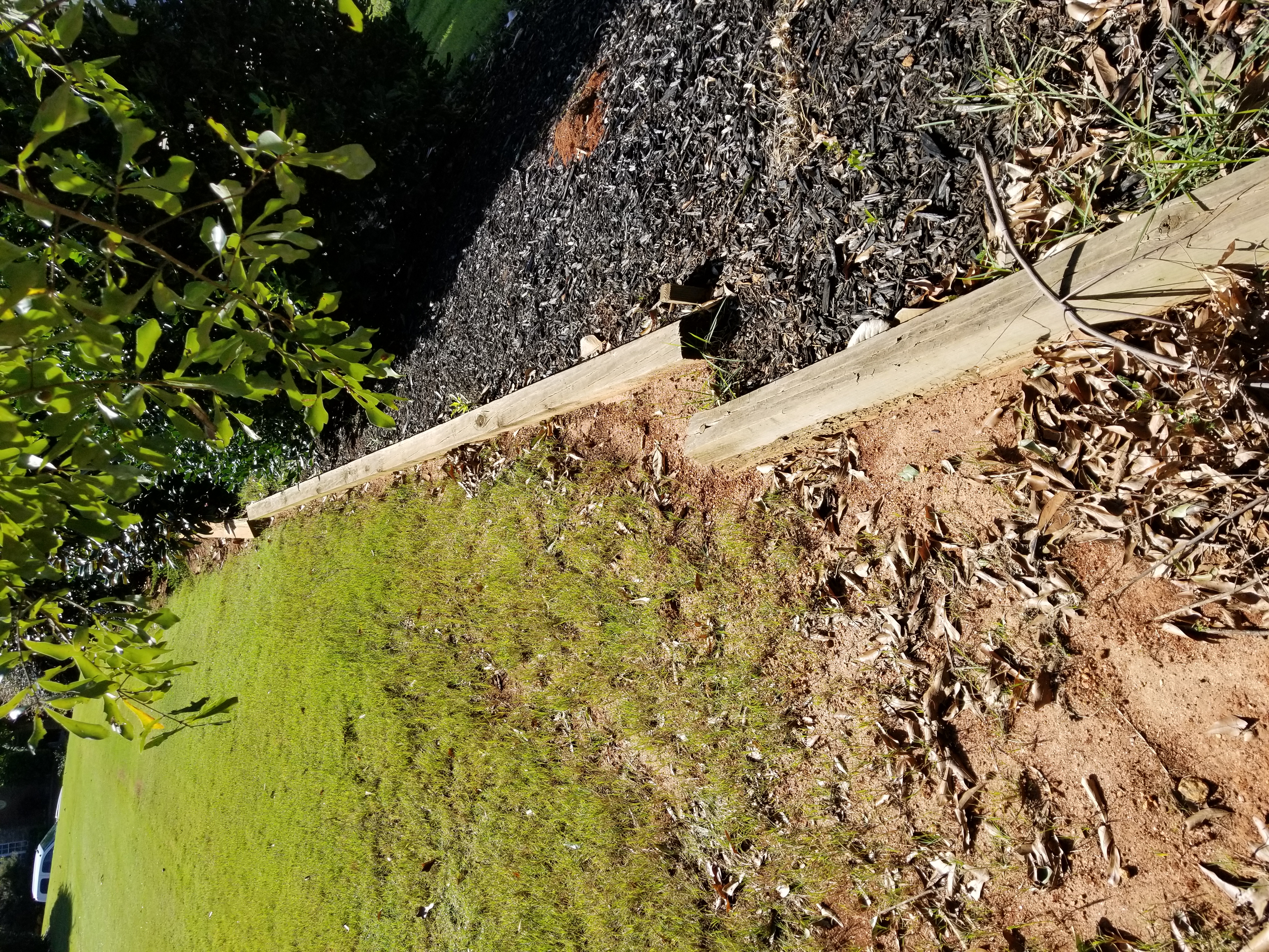 T & C Landscaping, LLC Logo