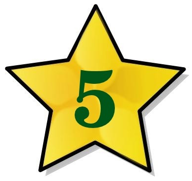 Five Star Cleaning Service, LLC Logo