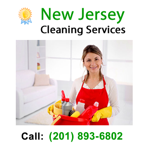 New Jersey Cleaning Services LLC Logo