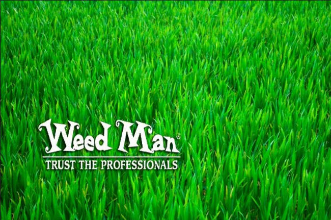 Weed Man Farmington Hills Logo