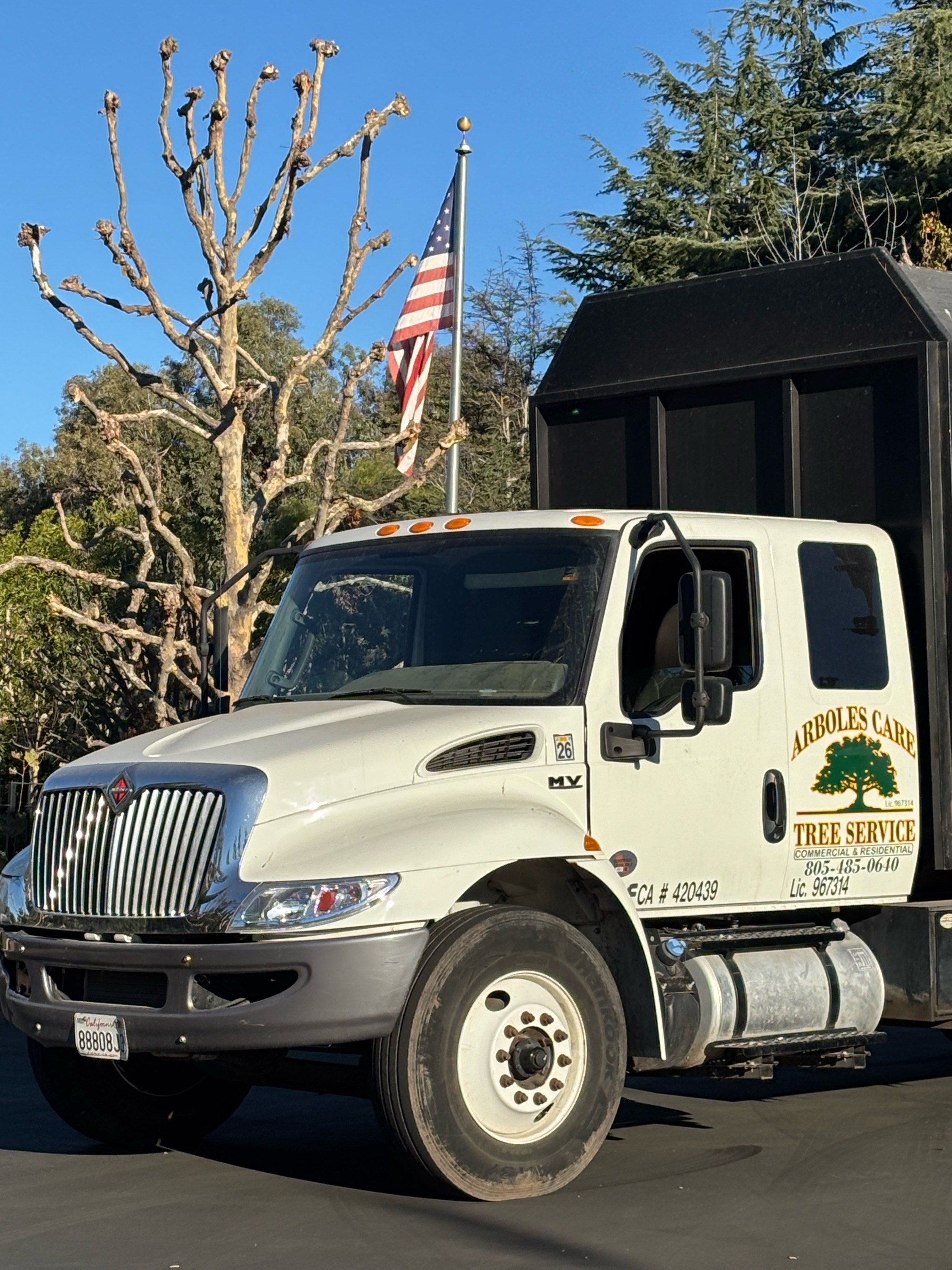 Arboles Care Tree Service, Inc. Logo