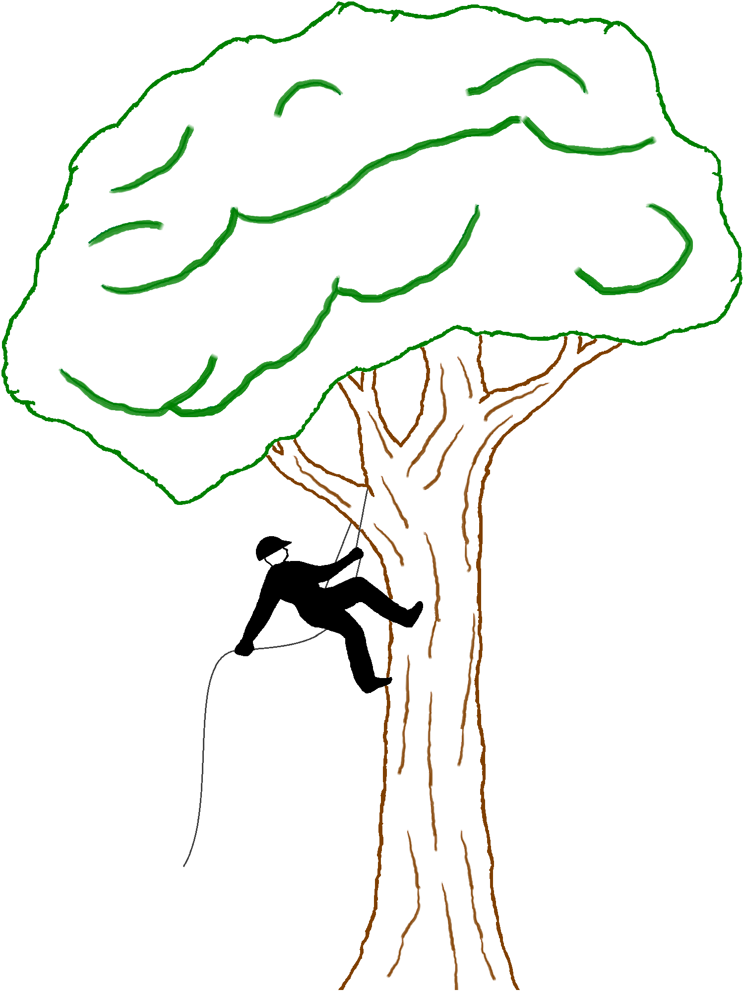 Milwaukee Tree Climber, LLC Logo