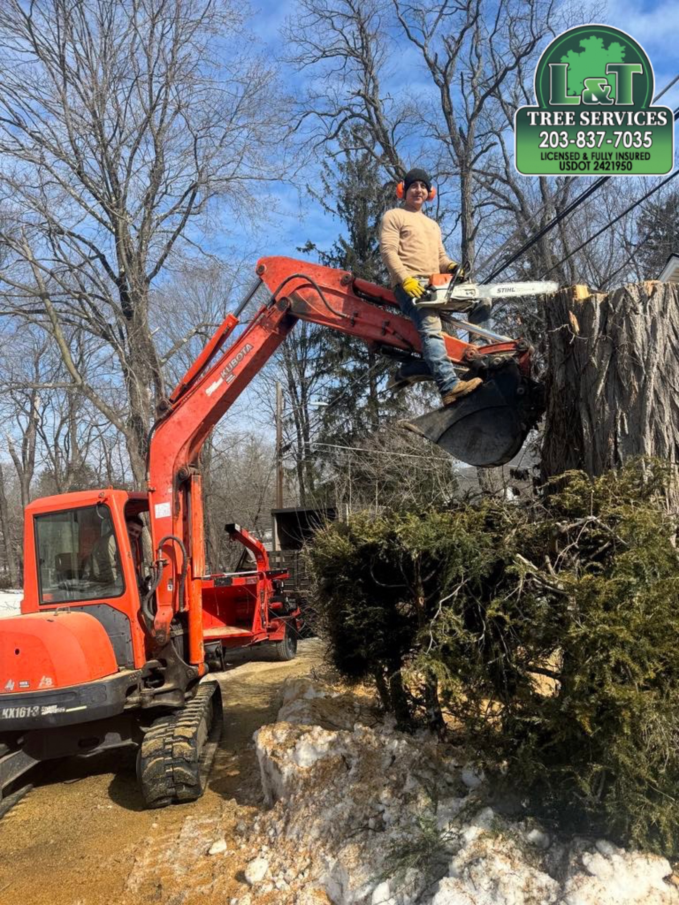 L&T Landscaping and Tree Services, LLC Logo