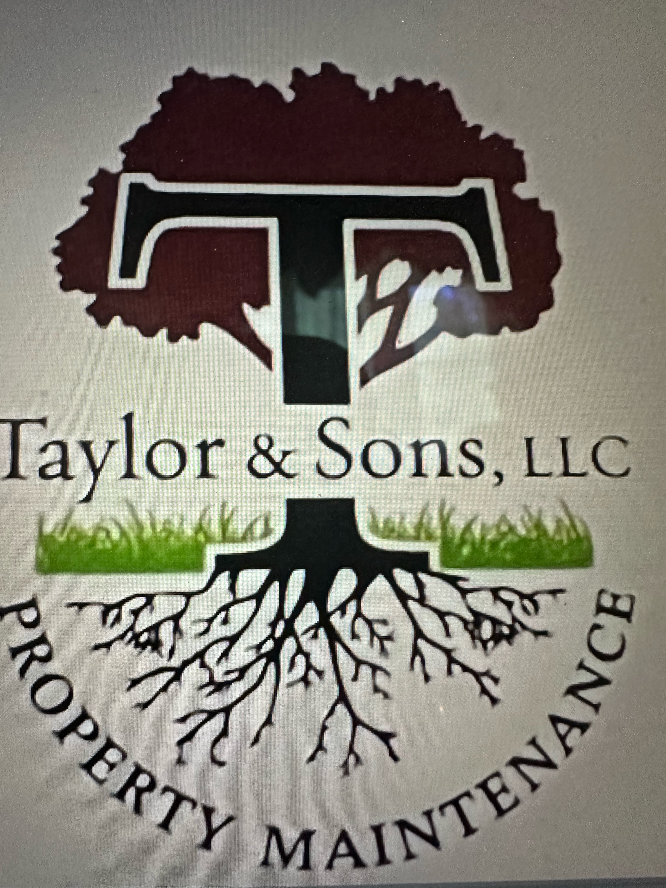 Taylor & Sons Logo