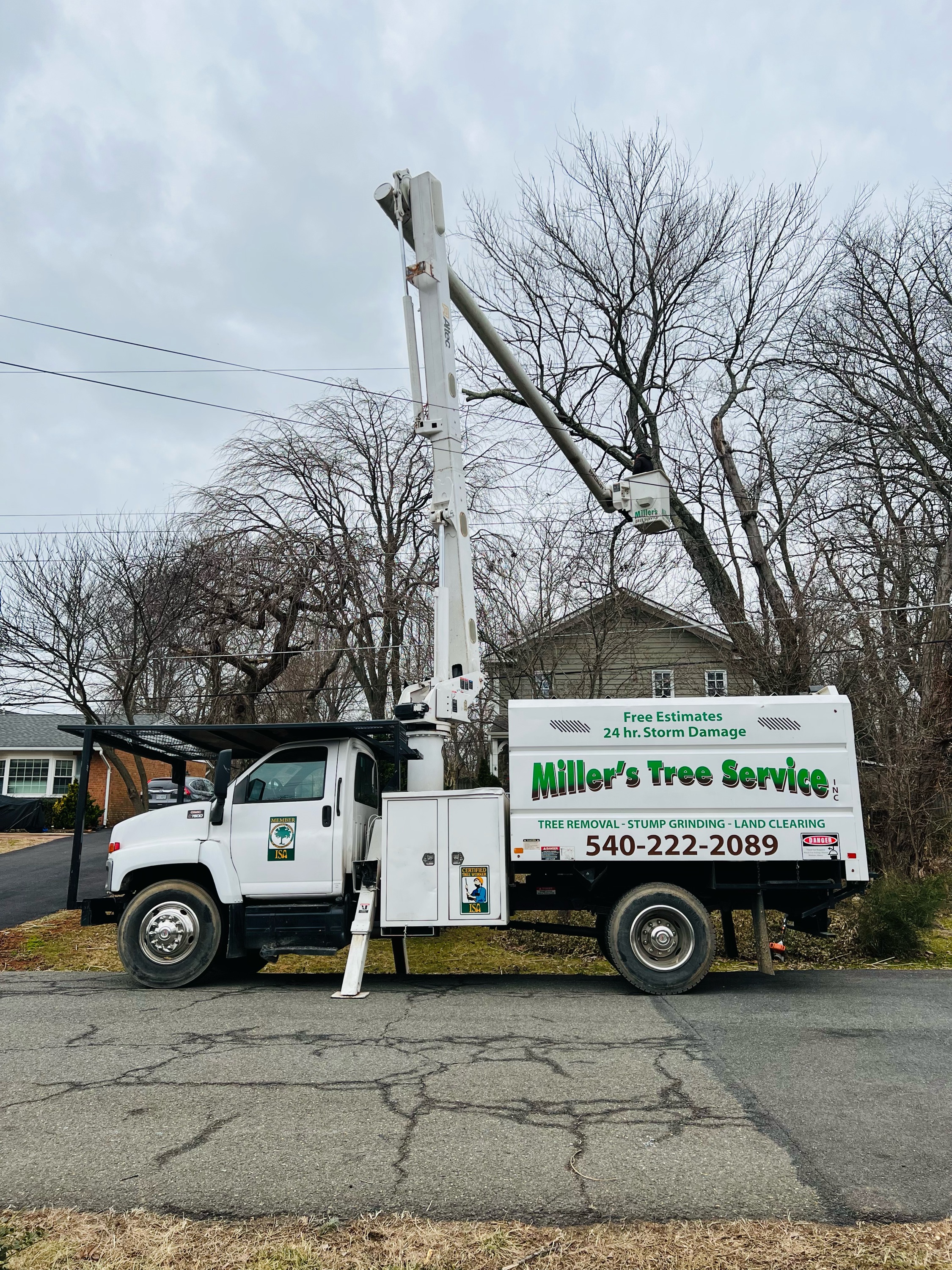 Miller Tree Service, Inc. Logo