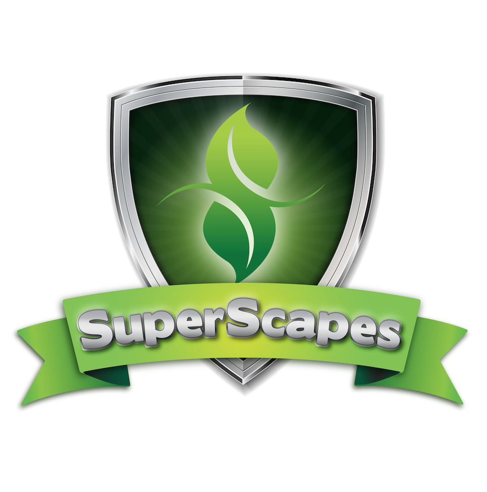 Superscapes, Inc. Logo