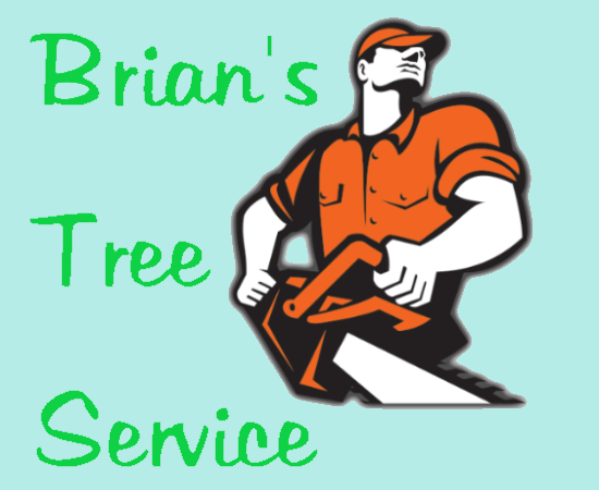 Brian's Tree Service Logo