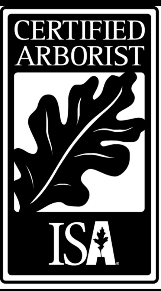 Affordable Arborcare Logo