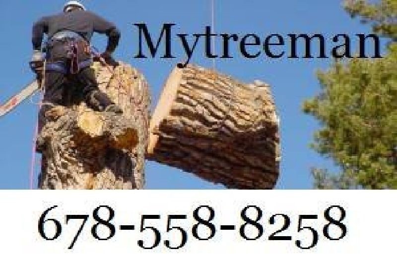 My Treeman Tree Service Logo
