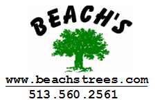 Beach's Trees Logo