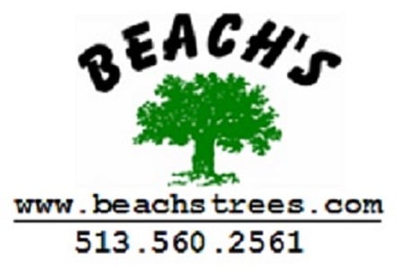 Beach's Trees Logo