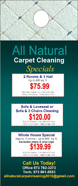 All Natural Carpet Cleaning Logo