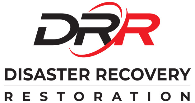 Disaster Recovery Restoration Logo
