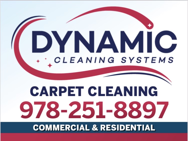 Dynamic Cleaning Systems, LLC Logo