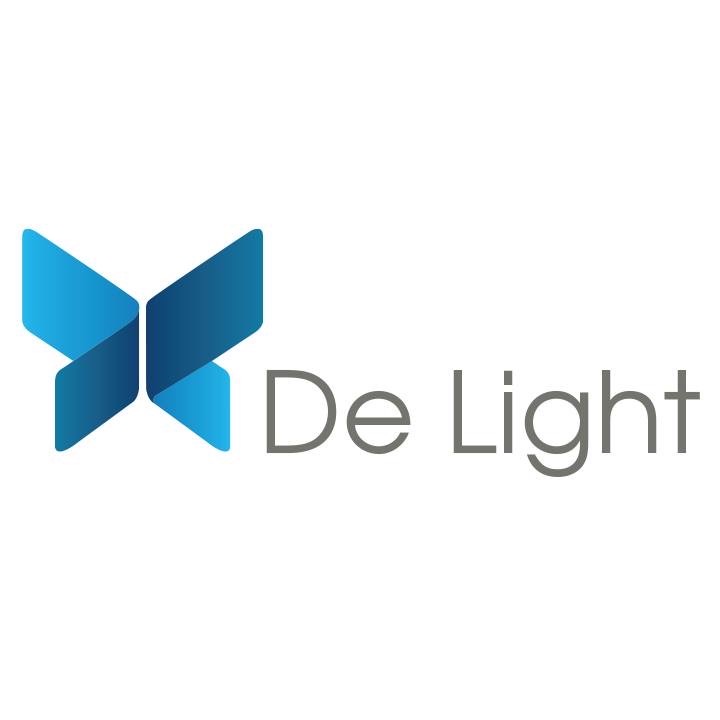 De Light Professional Organizers Logo