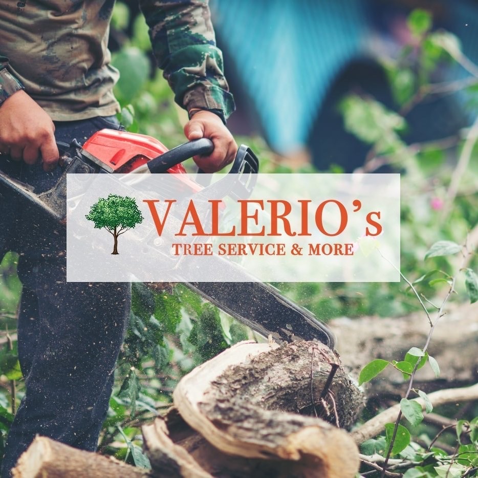 Valerio's Tree Service and More Logo