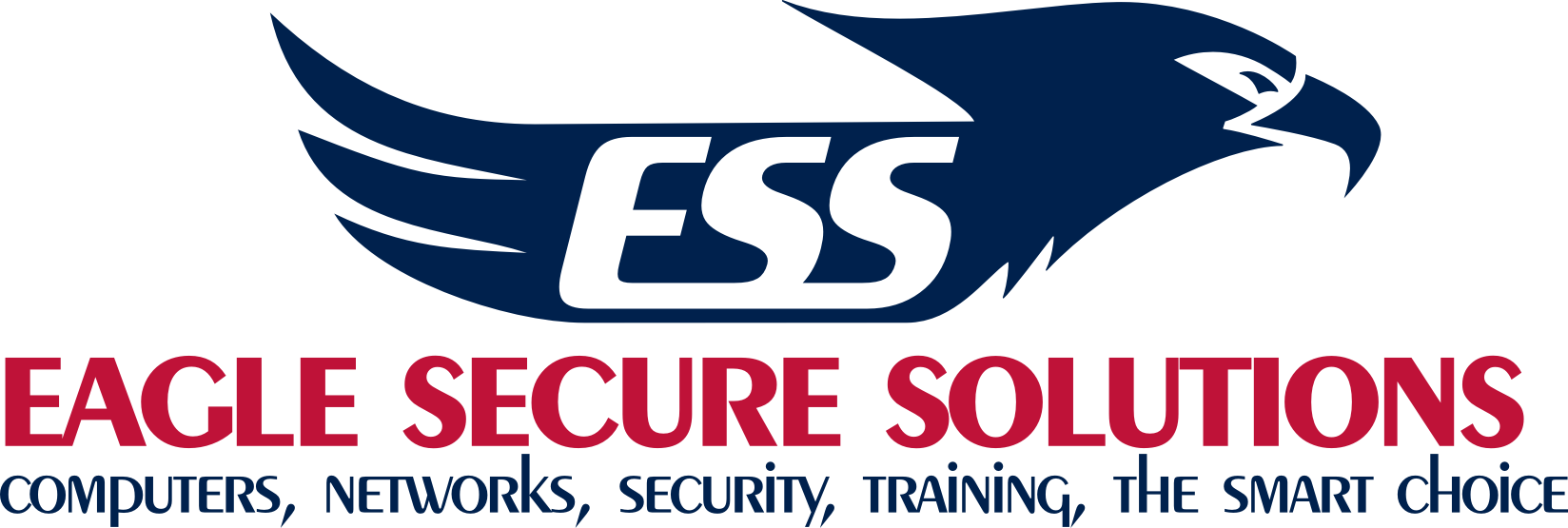 Eagle Secure Solutions, LLC Logo