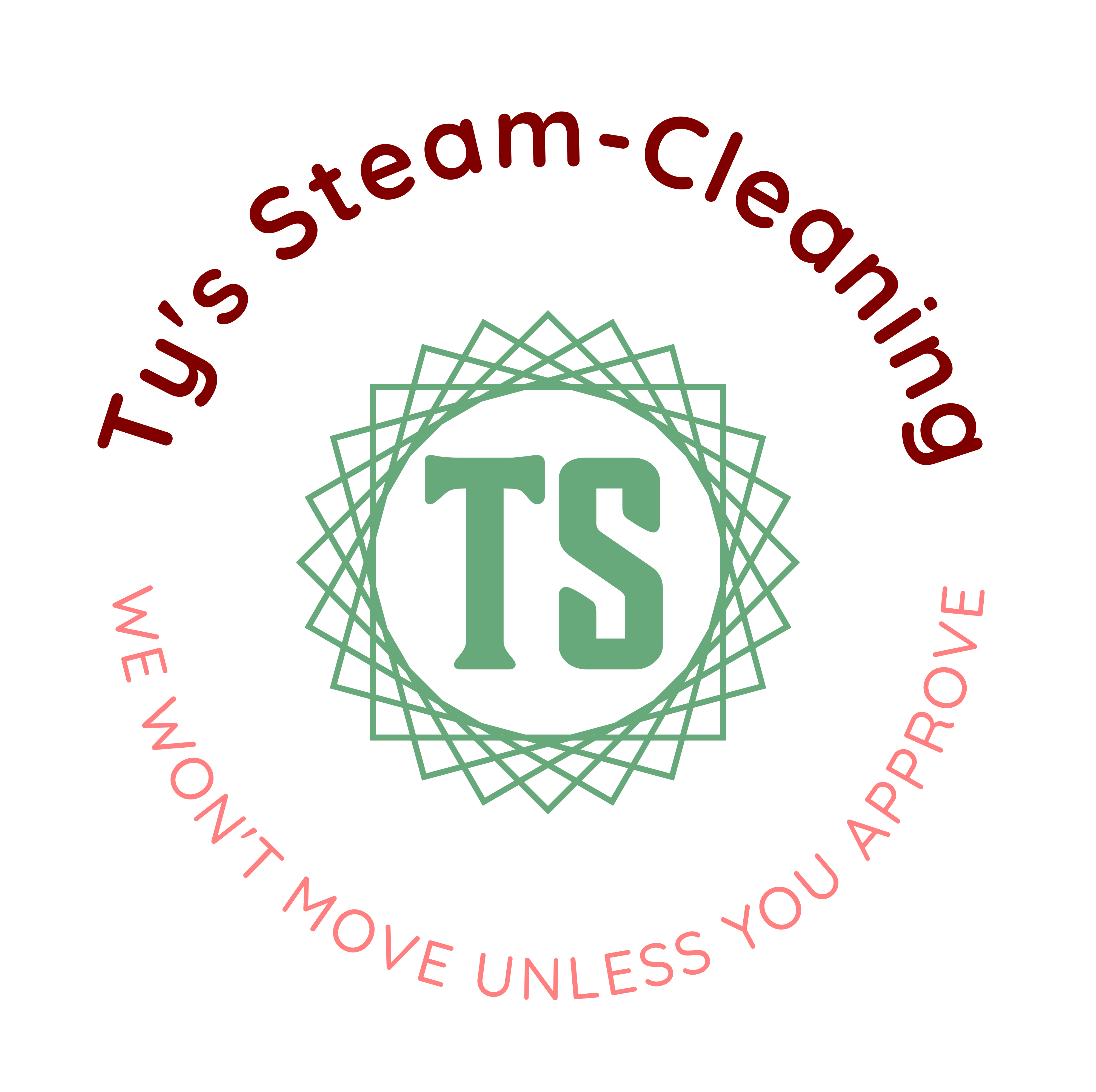 Ty's Steam-Cleaning Logo