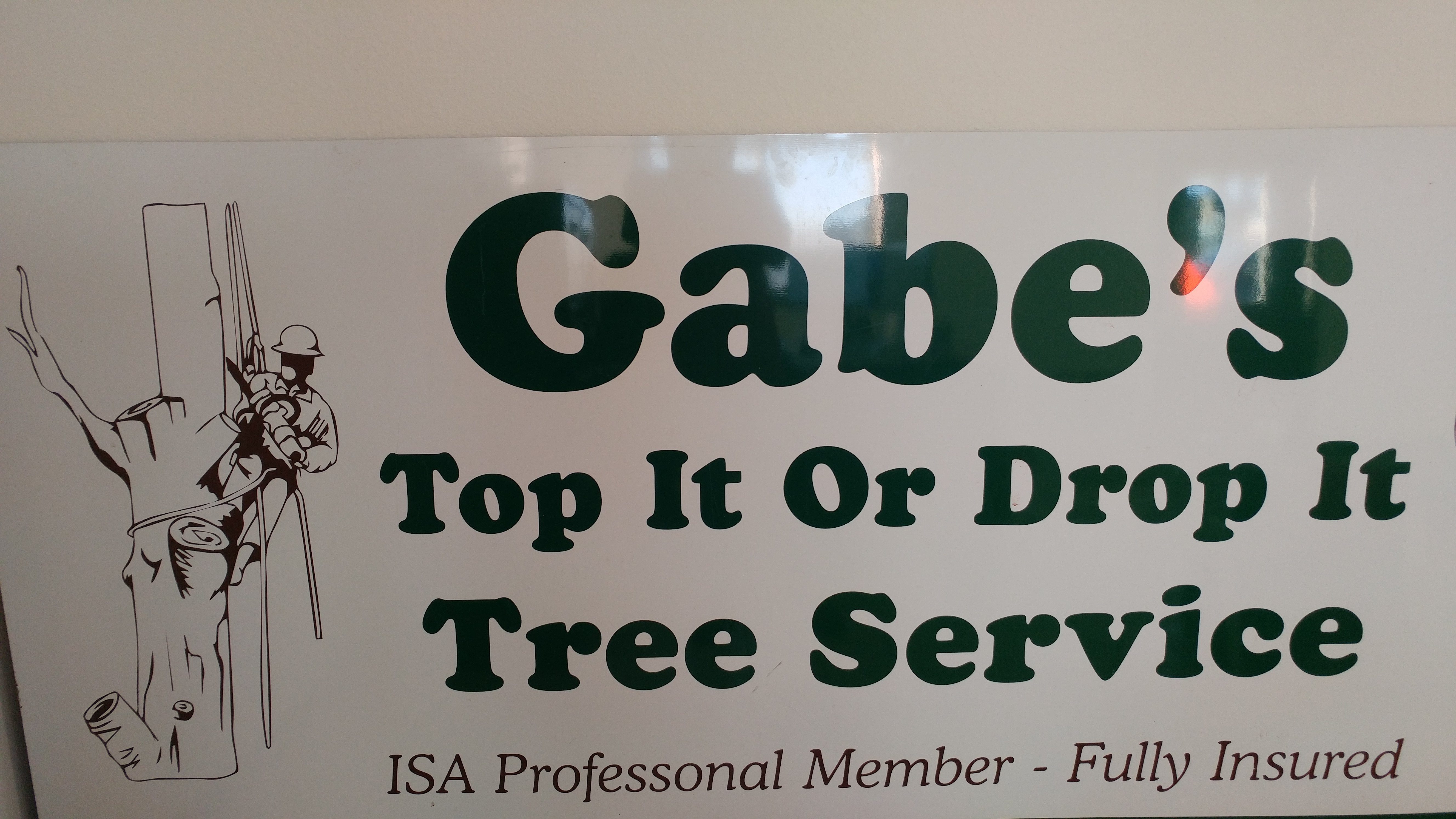 Gabe's Top It Or Drop It Tree Service, LLC Logo
