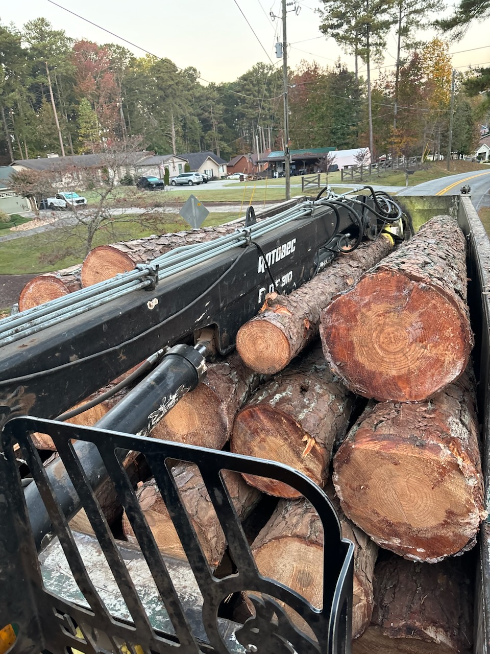 Tesla Tree Care Logo