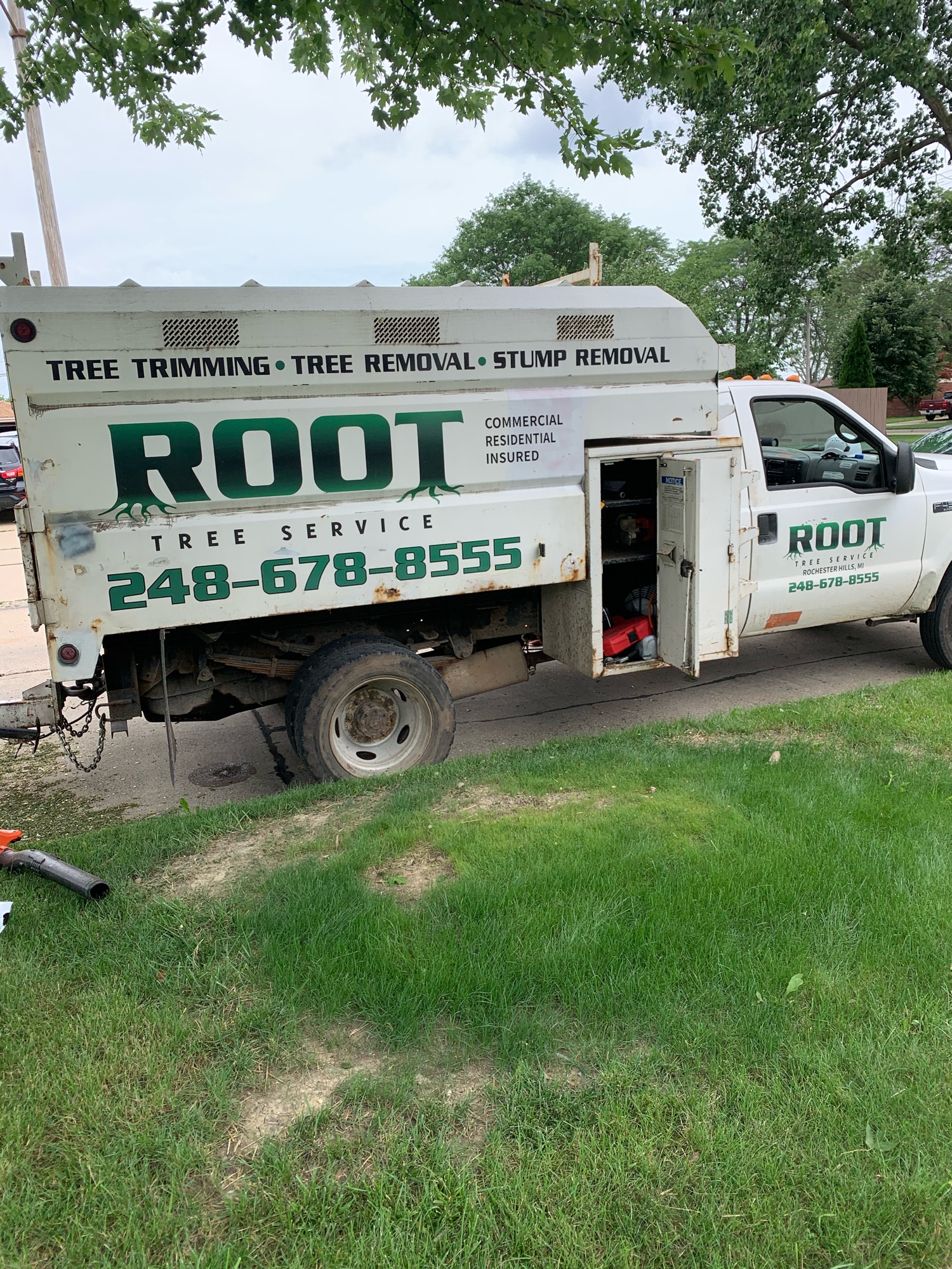 Root Tree Service, Inc. Logo