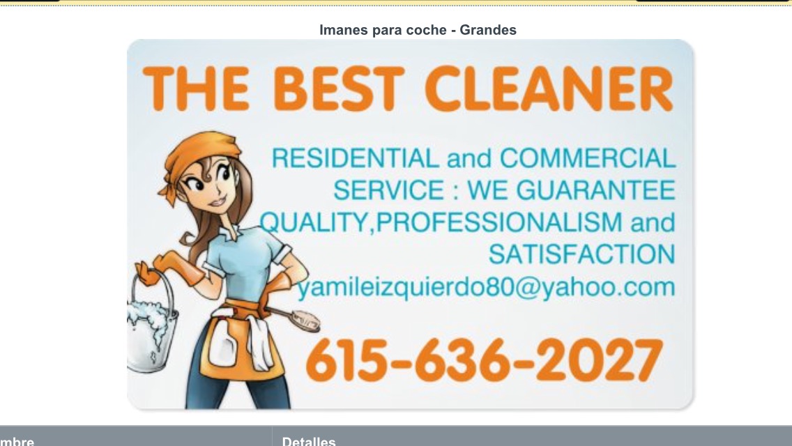 The Best Cleaner Logo