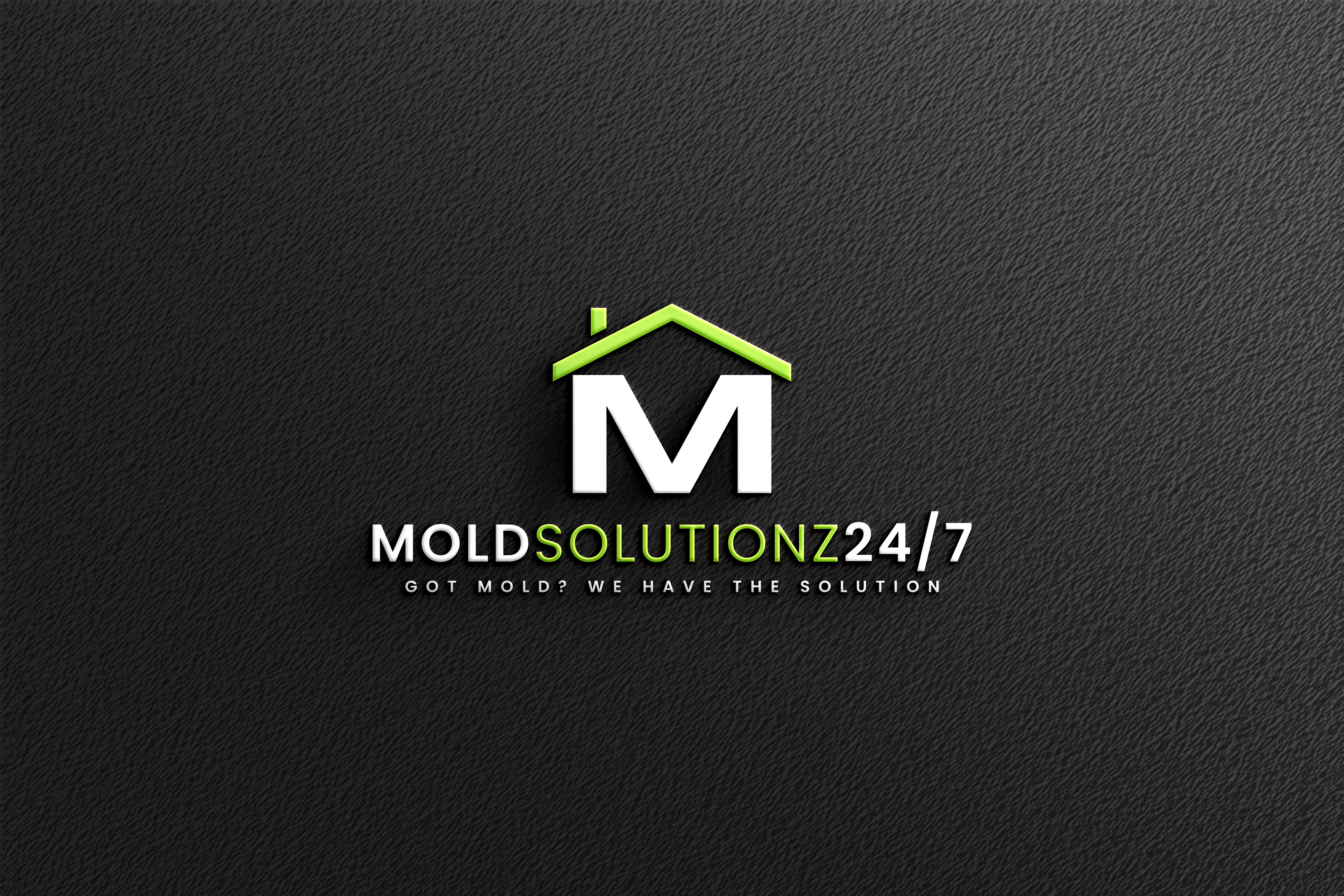 Mold Solutionz 24/7 Logo
