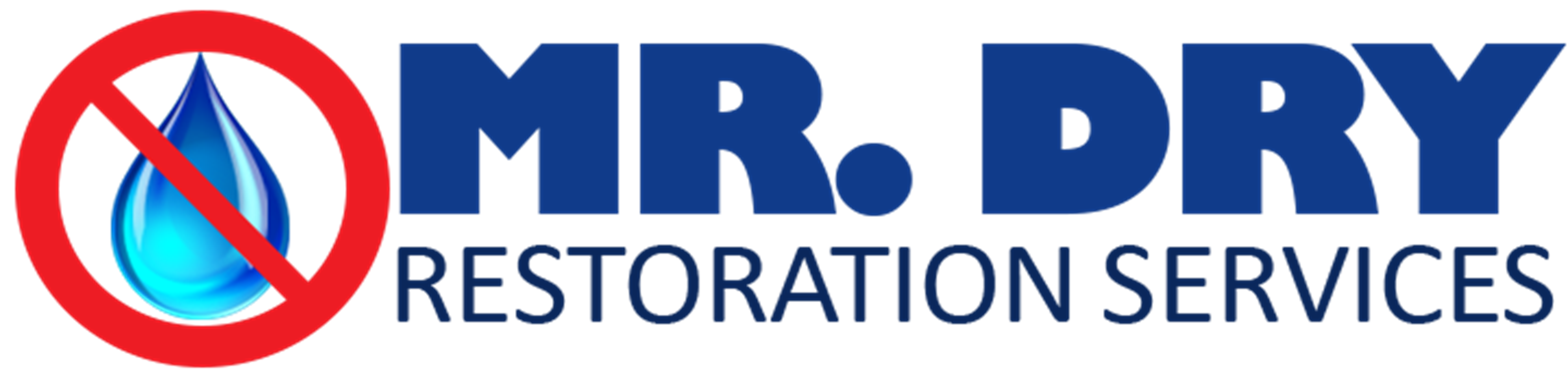 Mr. Dry Services Logo