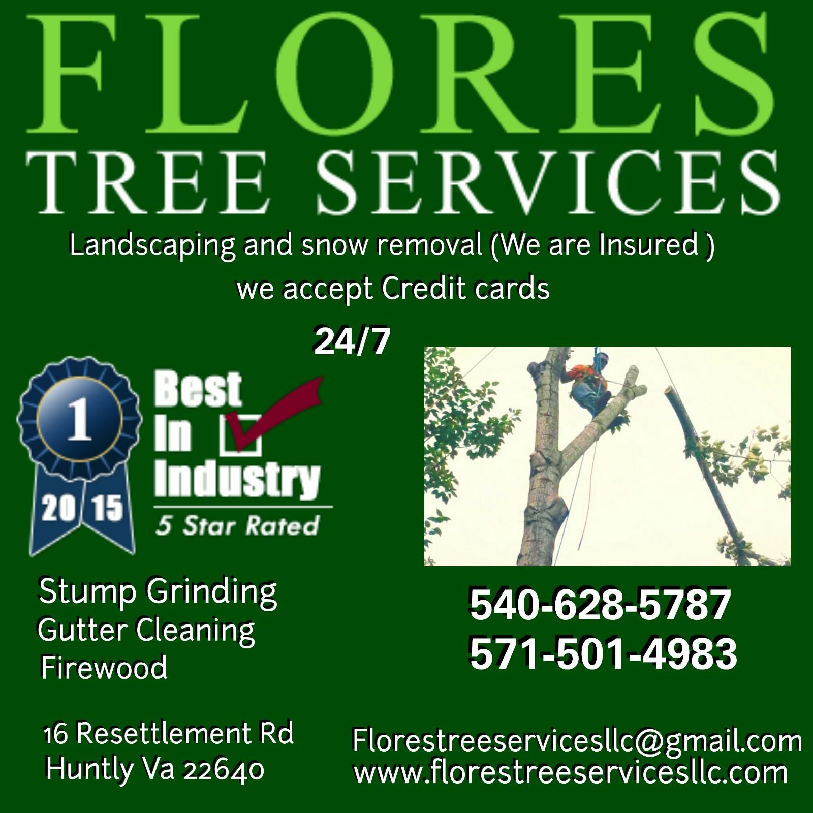 Flores Tree Service and Landscaping, LLC Logo