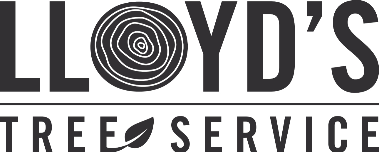 Lloyd's Tree Service Logo