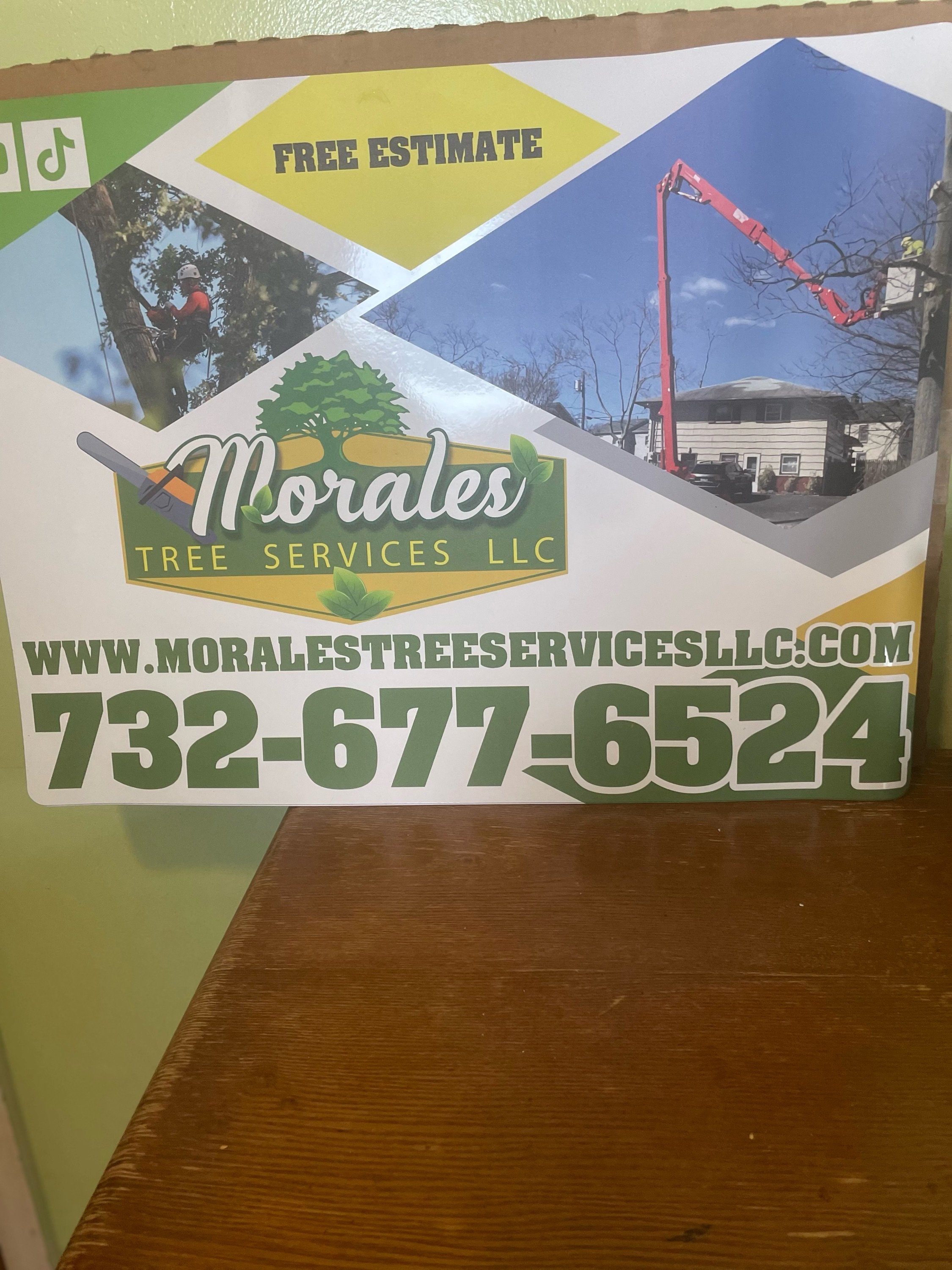 Morales Tree Service, LLC Logo