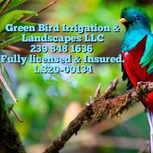 Green Bird Irrigation & Landscapes, LLC Logo