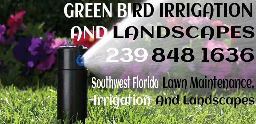 Green Bird Irrigation & Landscapes, LLC Logo