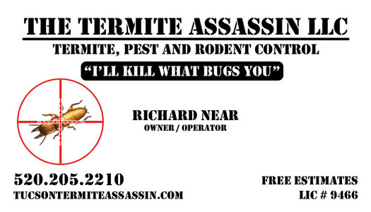 The Termite Assassin Logo