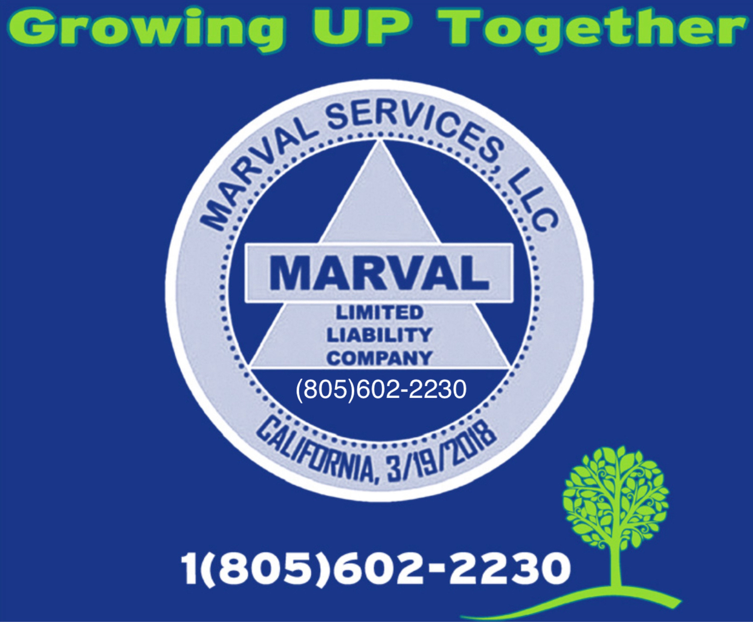 Marval Services Logo
