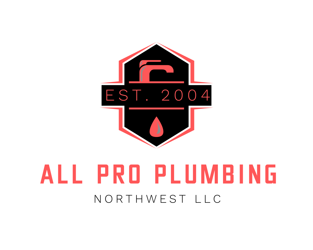 All Pro Plumbing Northwest, LLC Logo