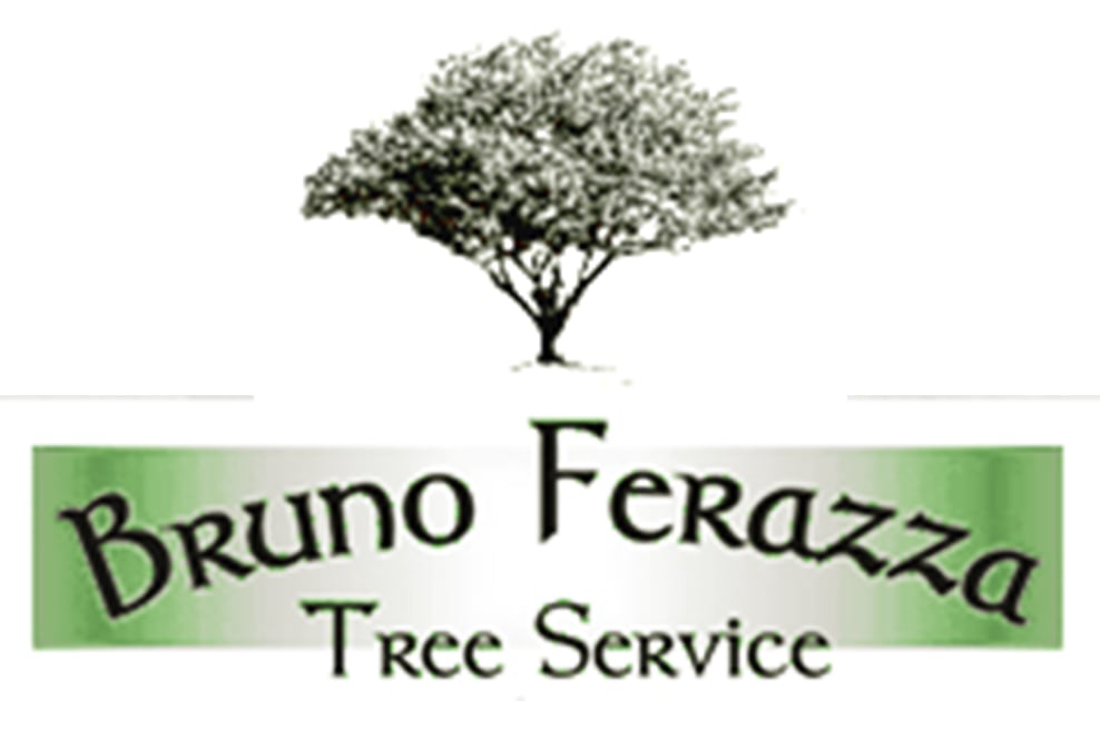 Bruno Ferazza Tree Service Logo