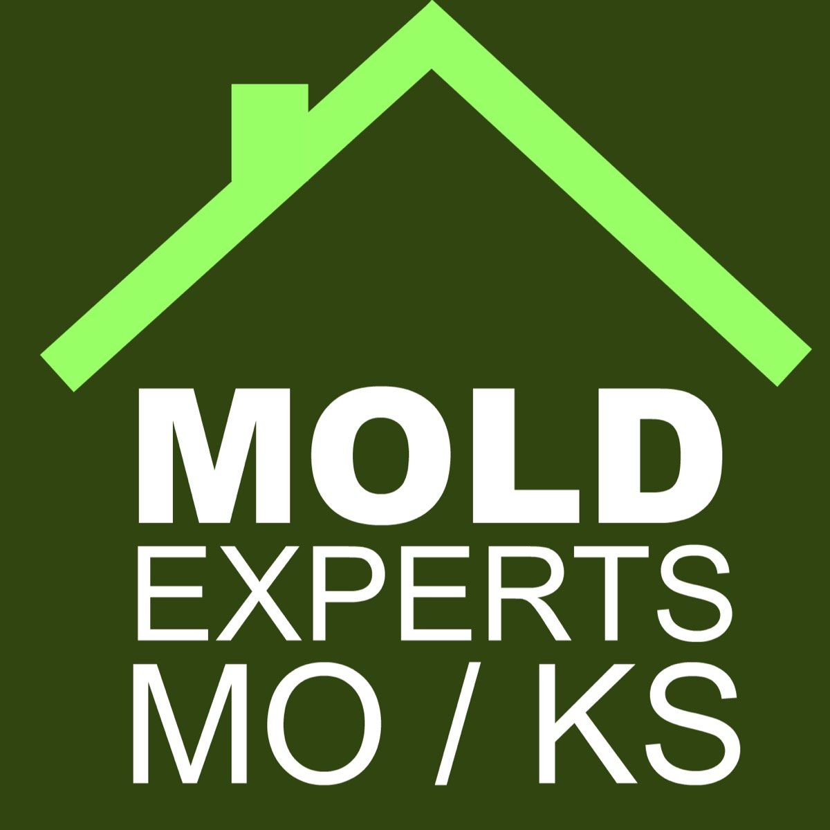 Mold Experts of Missouri & Kansas Logo