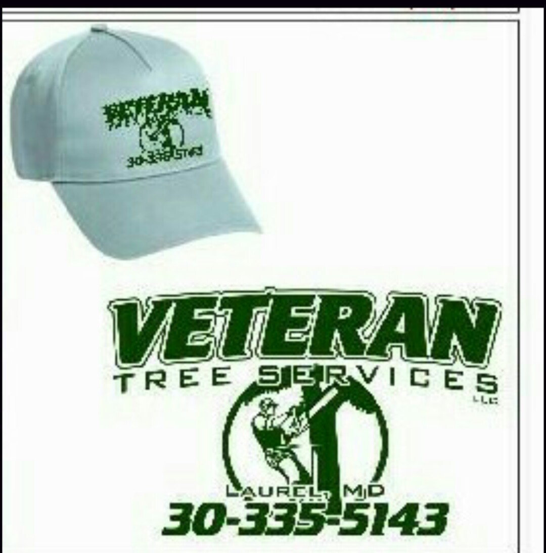 Veteran Tree Services Logo