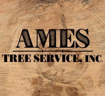 Ames Tree Service, Inc. Logo