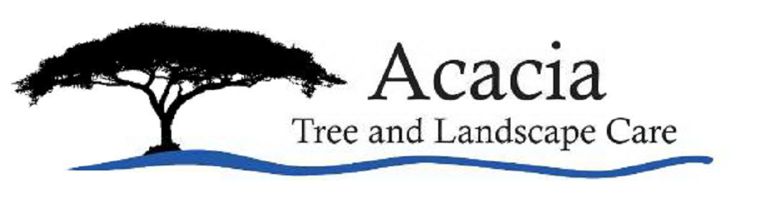 Acacia Tree Care Logo