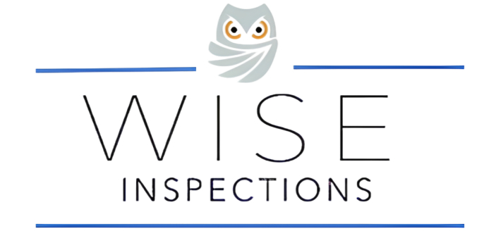 Wise Inspections Logo