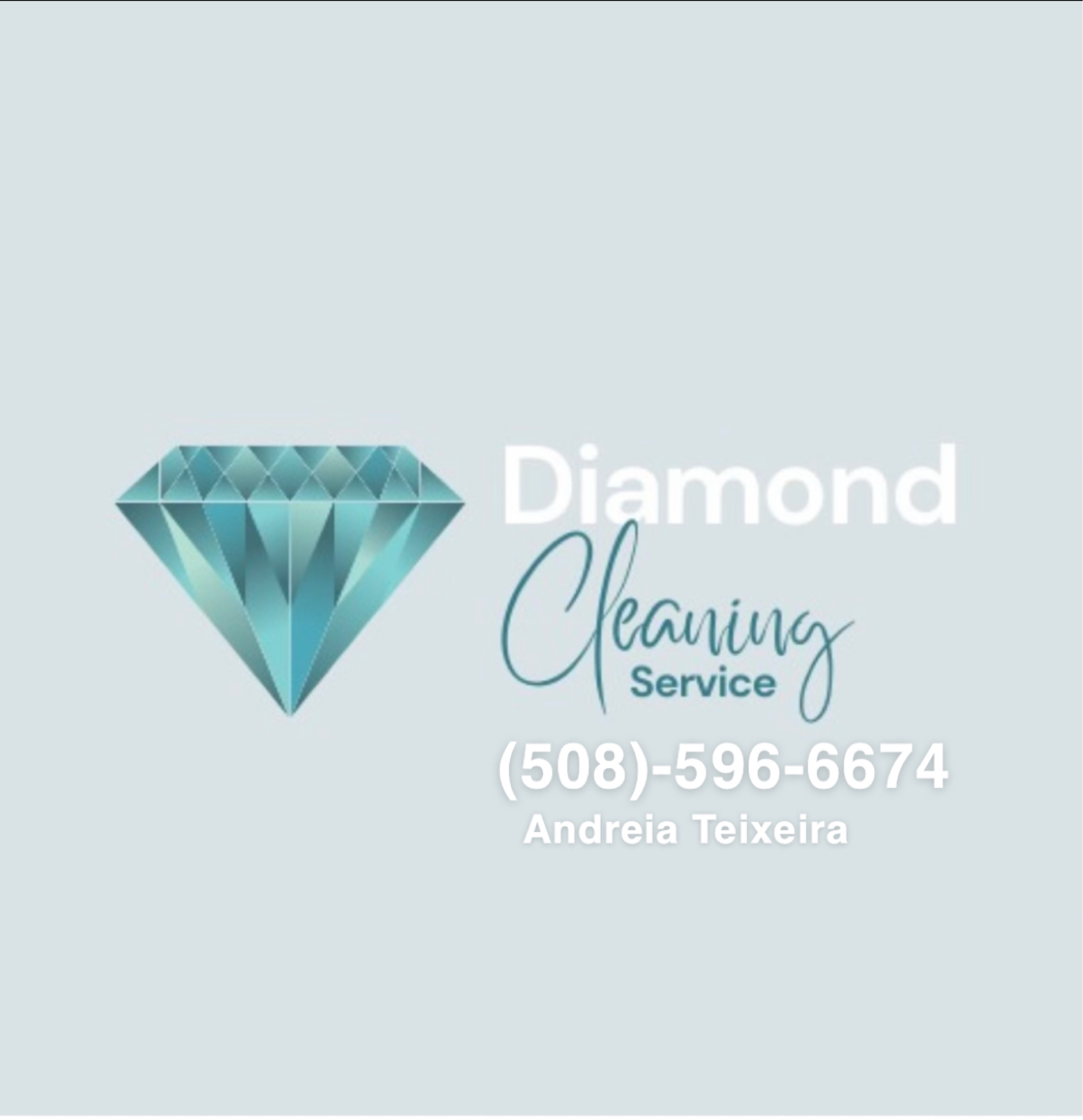 Diamond Cleaning Services Logo