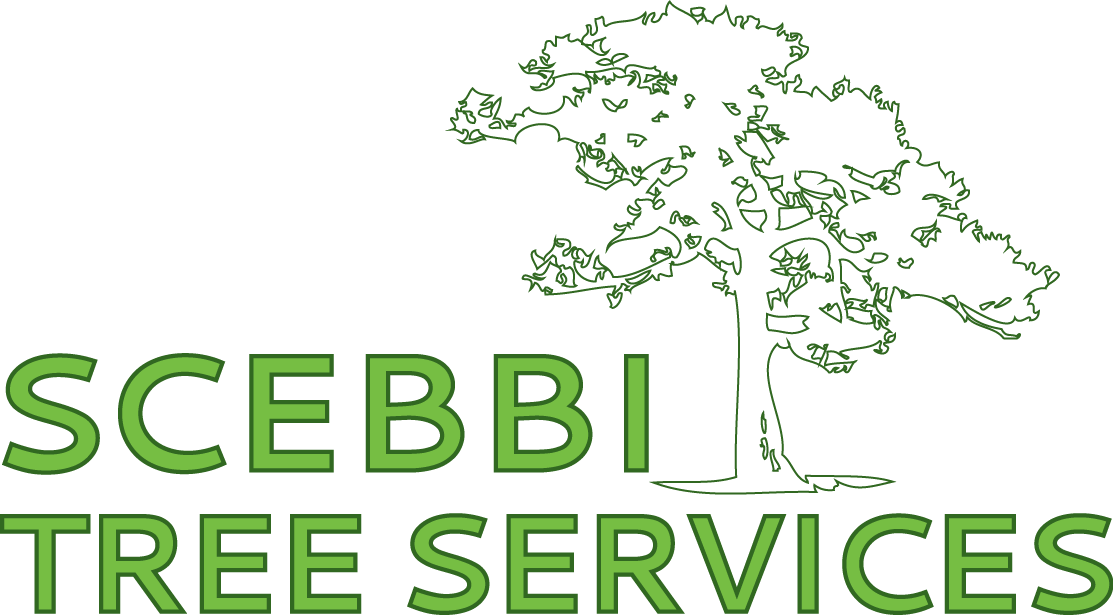 Scebbi Tree Services Logo
