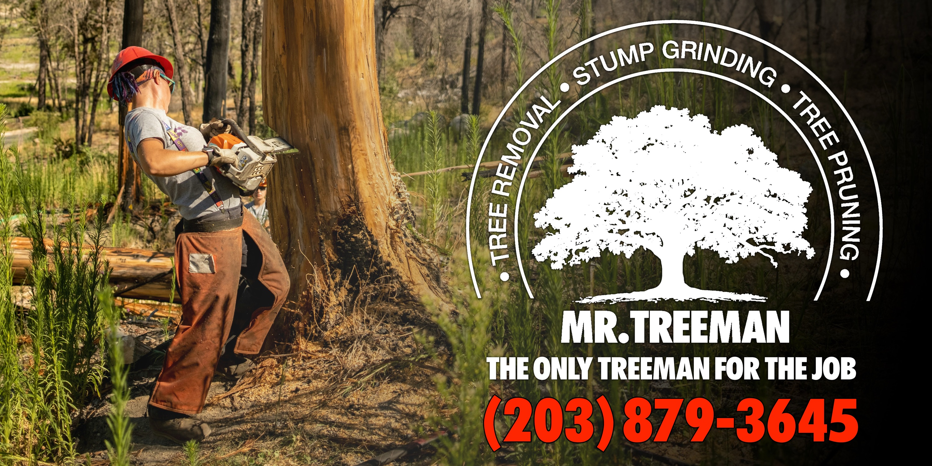 MR. TREEMAN TREE SERVICES, LLC Logo