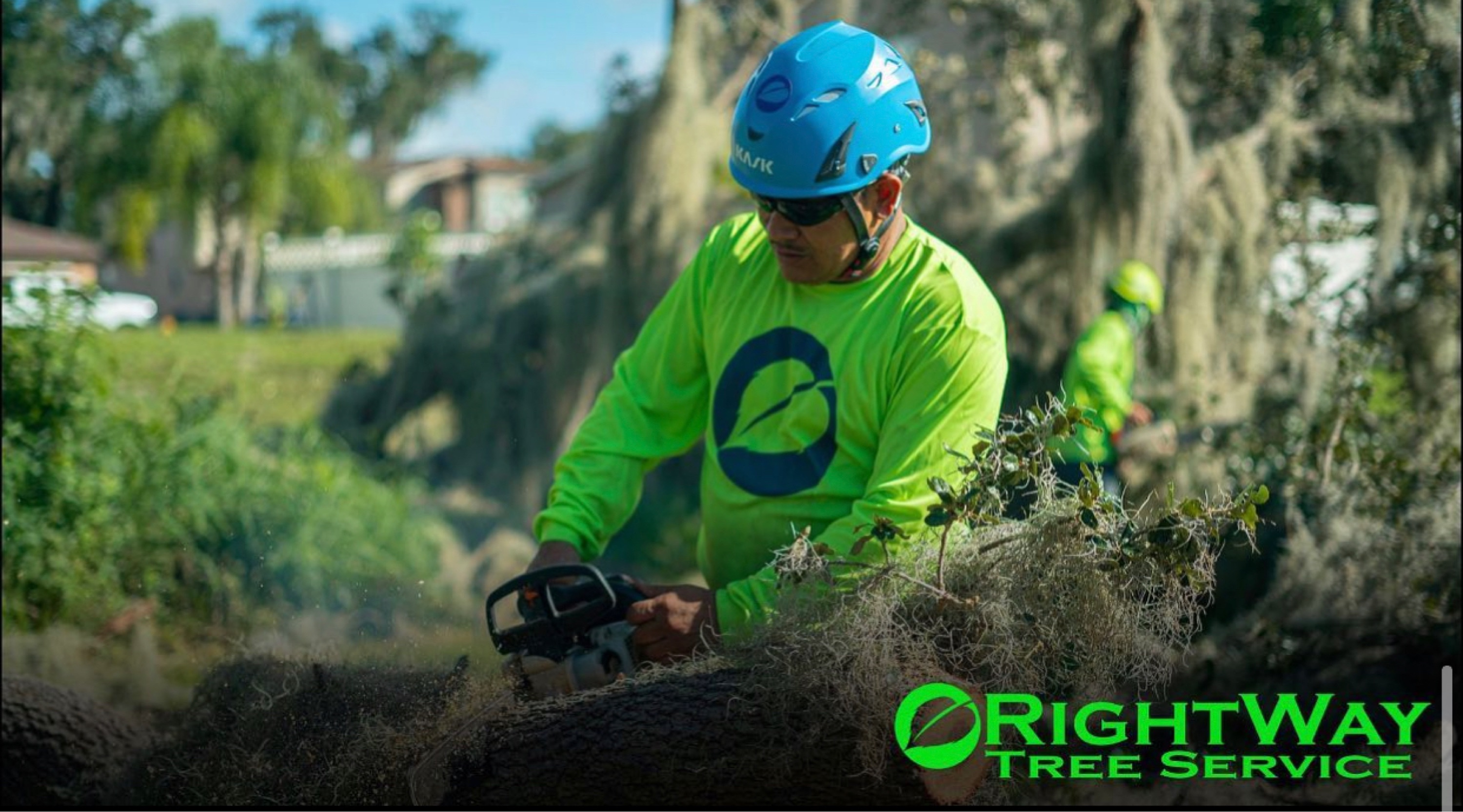 RightWay Landscape & Tree Professionals Logo