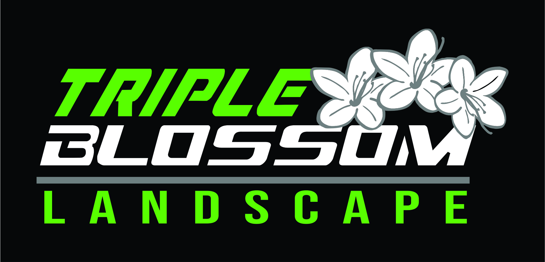 Triple Blossom Irrigation and Lighting Logo