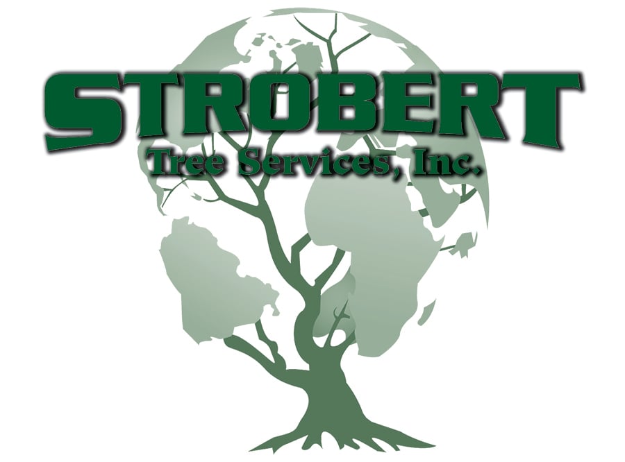 Strobert Tree Services, Inc. Logo