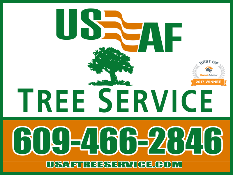 USAF Tree Service Logo