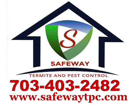 Safeway Termite & Pest Control, Inc. Logo